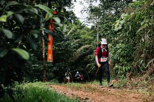 BIB: 
                            <button type="button" onclick="openModal(26438370)" class="btn btn-primary btn-sm float-right btn-popup" data-toggle="modal" data-target=".modal-high-quality">
                        <i class="fas fa-shopping-cart"></i> Add to Cart
                    </button>
                                            <button type="button" onclick="isThisMe(26438370, true)" class="btn btn-success btn-sm float-right btn-popup btn-isme hidden" data-toggle="tooltip" data-placement="bottom" title="นี่คือรูปของคุณใช่ไหม คลิกที่นี่เพื่อเอาเข้าอัลบั้ม">
                        <i class="fas fa-plus"></i> Add to album
                    </button>
                    <button type="button" onclick="isThisMe(26438370, false)" class="btn btn-warning btn-sm float-right btn-popup btn-isnotme hidden">
                        <i class="fas fa-ban"></i> Remove from album
                    </button>